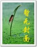 重生抗戰之豫西北傳奇