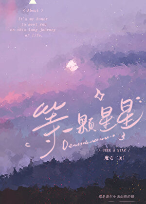 等一顆星星