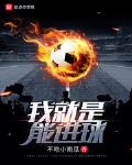 我就是能進球
